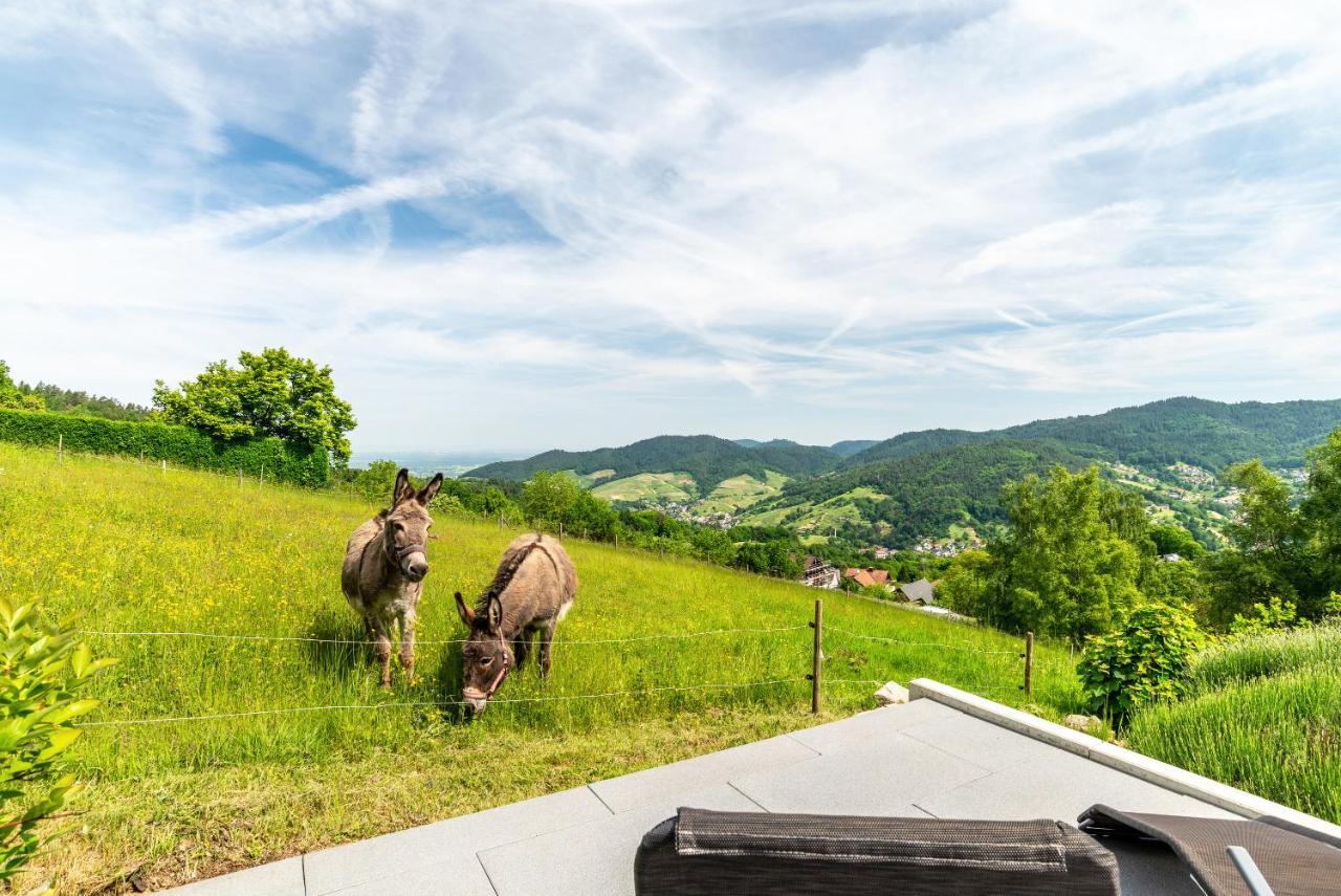 Merzel'S Schone Aussicht Bühlertal Esterno foto