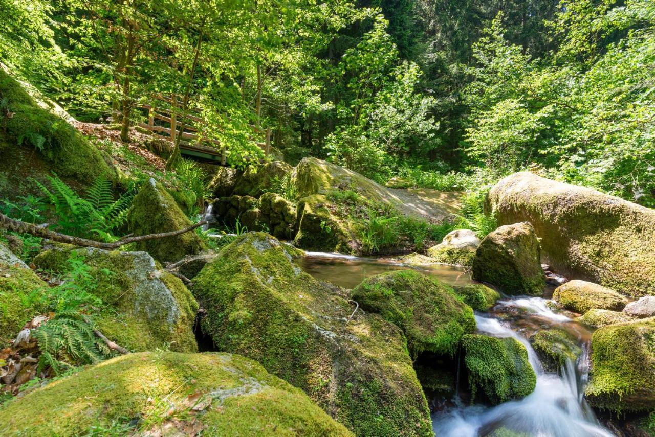 Merzel'S Schone Aussicht Bühlertal Esterno foto